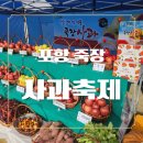 포항보건고등학교 | 포항 죽장사과축제 죽장사과&amp; 감곡리 사과대추 구매 후기