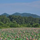 강진산들농원 이미지