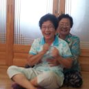 금척경로당 Daum카페