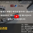 알버트악기 이미지
