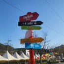 남이섬(추가) 이미지