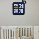 댕겨올개 이미지