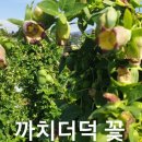 까치슈퍼 이미지