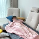 부강세탁 이미지