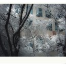 용구대로 Daum카페