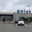 금악냉면 | 제주 한림 금악마을 맛집 금악무짠지냉면 물냉면 메밀온면 고기완자