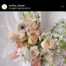 럭스플로스 이미지