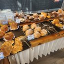 오라힐스 이미지