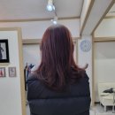 르비반트 헤어 네이버블로그