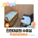 인천대공원(환경미래관) | [수유실🤱] 인천대공원 목재문화체험장 수유실·시설·청결도 (feat. 벚꽃놀이)