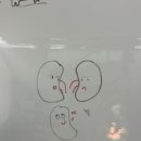 (주)지비에스 이미지