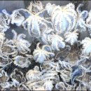 바다의 만찬 이미지