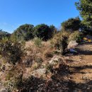 덕송부동산중개사무소 이미지