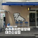 신성 | 대전 신성동 인생 돈카츠 맛집 수수하지만 굉장해 대전신성점내돈내산 재방문 후기