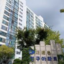 안말초등학교 | 이매촌 청구 아파트