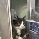 심곡로+심곡로37번길 이미지