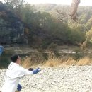 경북야생동물구조관리센터 이미지