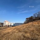 해떠라공인중개사사무소 이미지