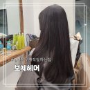 [일산복구매직] 복구매직 잘하는 일산 미용실 보체헤어 볼륨매직 내돈내산 솔직 후기