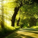 (주)유안 이미지