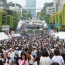 페스티벌 이미지