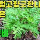 한국의 약용식물(풀고비)-뼈,간과신장에좋은 산나물 조회수 1.7천회 3년 전 이미지