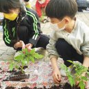 가평초등학교 이미지