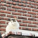 숙헤어스케치 - 유성구 | 숙헤어스케치