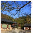 금성중학교 | 나주 심향사