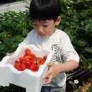 부여서울 이미지