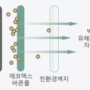 도배천국