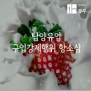 법무법인유일