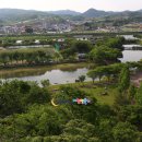 임실덕천리가침박달군락 이미지