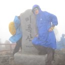쇠내골 Daum카페