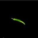 바사삭 치킨 이미지