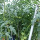 삼부자농장 이미지