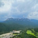 더엠브로시아 이미지