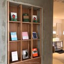 스테이시호일 이미지