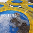 목포뻘낙지 이미지