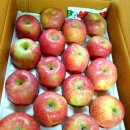 자운농장 이미지