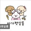 아가펫 | (평택, 강아지, 고양이, 애견미용, 추천!) 아가펫살롱 평택 애견미용 아가펫살롱, 친절한 서비스