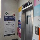 대전목동우체국(1층) | [대전속눈썹연장] 목동 속눈썹 잘하는 곳 찾았다 – 바비래쉬 방문 후기