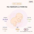 31주 32주 만삭사진 초음파 백일해주사 주수보다 작은 아기 키우기