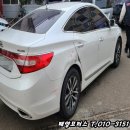 쌍용블루모터스 이미지