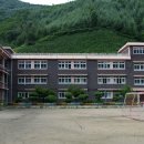 갈래초등학교 Daum카페