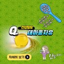 퇴근후 대마종자유 늘 챙기는 습관