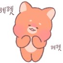 아끌로네 이미지
