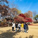 경희사이버대학교 한국어센터, 법무부 사회통합프로그램(KIIP) 제3기 수료식’ 개최 ​ 이미지