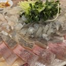 가족도매횟집 - 7518 | 김해 내외동 횟집 추천, 제철 도다리 맛집 ‘삼대도매횟집’ 가족 외식 후기