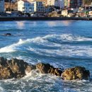 삼사 바다산책로 이미지